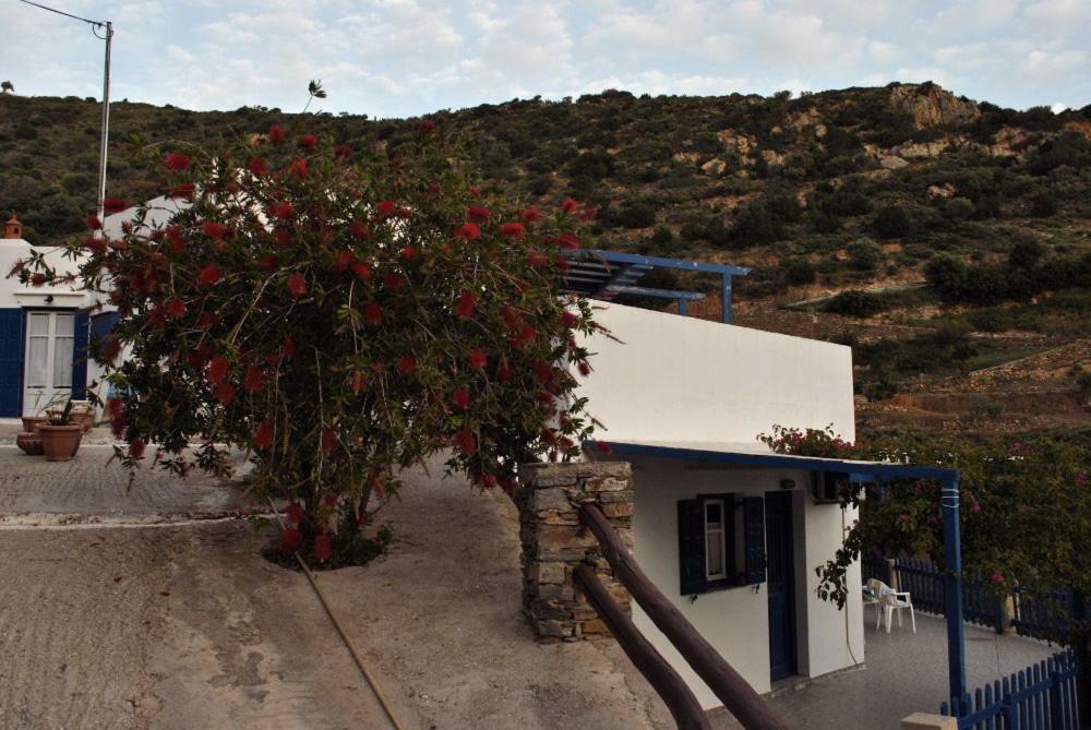 Villa Costa Studios Vathi  Exterior foto